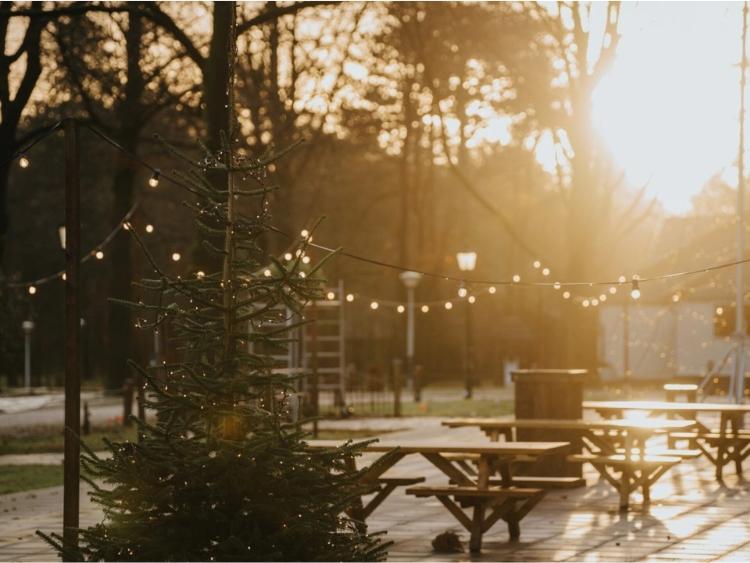 Singlereis Oud & Nieuw Event (HBO-WO) Op Landgoed Mennorode